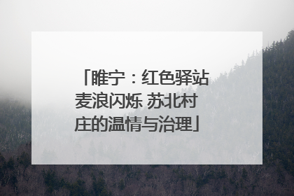 睢宁：红色驿站麦浪闪烁 苏北村庄的温情与治理