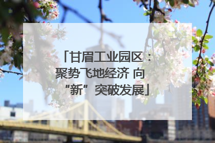 甘眉工业园区：聚势飞地经济 向“新”突破发展