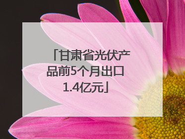 甘肃省光伏产品前5个月出口1.4亿元