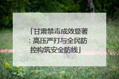 甘肃禁毒成效显著：高压严打与全民防控构筑安全防线