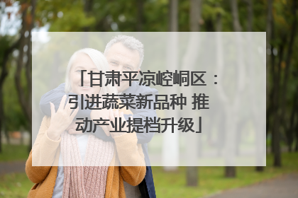 甘肃平凉崆峒区：引进蔬菜新品种 推动产业提档升级