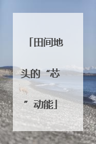 田间地头的“芯”动能