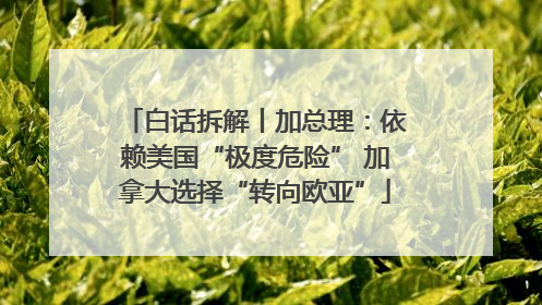 白话拆解丨加总理：依赖美国“极度危险” 加拿大选择“转向欧亚”