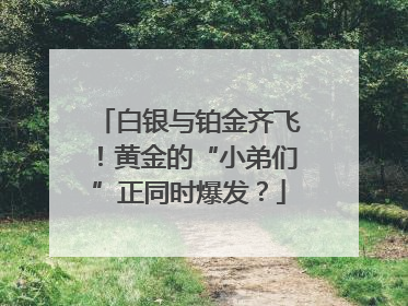 白银与铂金齐飞！黄金的“小弟们”正同时爆发？
