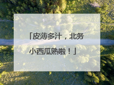 皮薄多汁，北务小西瓜熟啦！