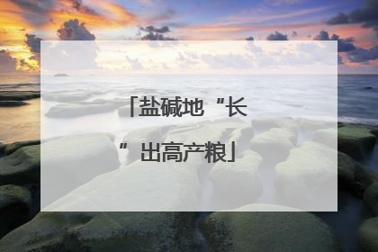 盐碱地“长”出高产粮