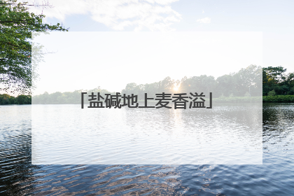 盐碱地上麦香溢