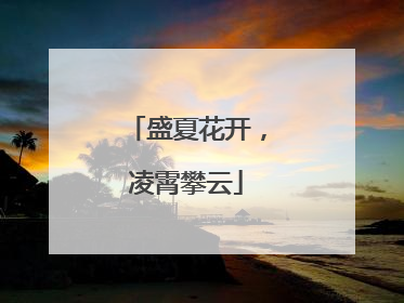 盛夏花开，凌霄攀云