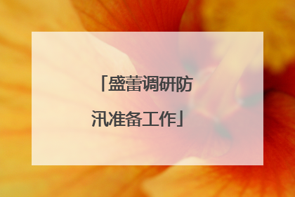 盛蕾调研防汛准备工作