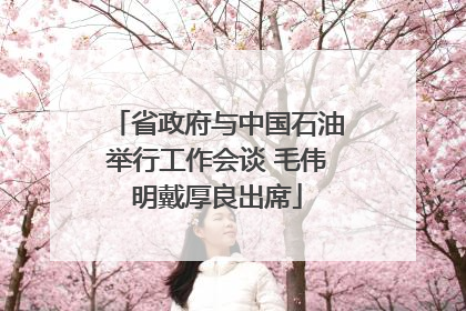 省政府与中国石油举行工作会谈 毛伟明戴厚良出席