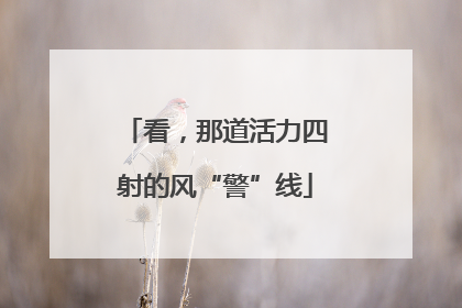 看，那道活力四射的风“警”线