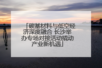 碳基材料与低空经济深度融合 长沙举办专场对接活动撬动产业新机遇