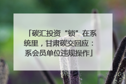 碳汇投资“锁”在系统里，甘肃碳交回应：系会员单位违规操作