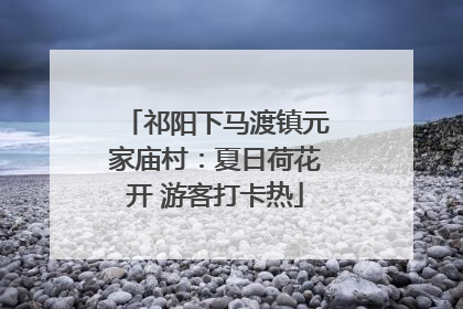 祁阳下马渡镇元家庙村：夏日荷花开 游客打卡热