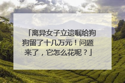 离异女子立遗嘱给狗狗留了十几万元！问题来了，它怎么花呢？