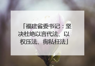 福建省委书记：坚决杜绝以言代法、以权压法、徇私枉法