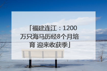 福建连江：1200万只海马历经8个月培育 迎来收获季