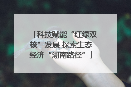 科技赋能“红绿双核”发展 探索生态经济“湖南路径”
