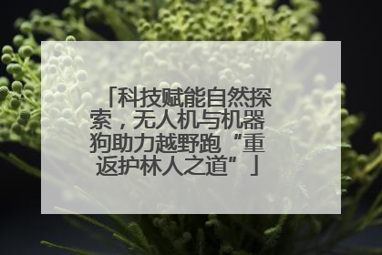 科技赋能自然探索，无人机与机器狗助力越野跑“重返护林人之道”