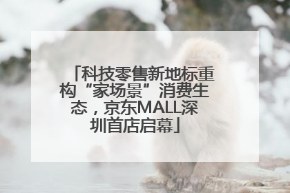科技零售新地标重构“家场景”消费生态，京东MALL深圳首店启幕