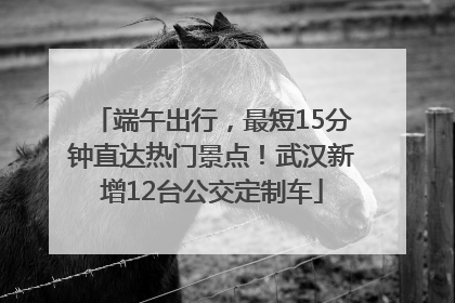 端午出行，最短15分钟直达热门景点！武汉新增12台公交定制车