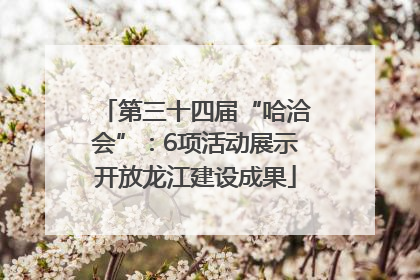 第三十四届“哈洽会”：6项活动展示开放龙江建设成果