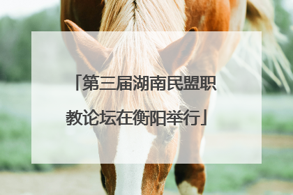 第三届湖南民盟职教论坛在衡阳举行