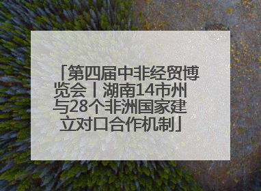 第四届中非经贸博览会丨湖南14市州与28个非洲国家建立对口合作机制