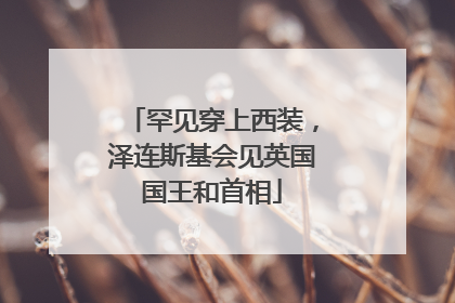 罕见穿上西装，泽连斯基会见英国国王和首相