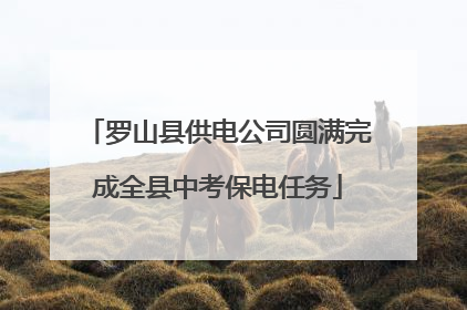 罗山县供电公司圆满完成全县中考保电任务