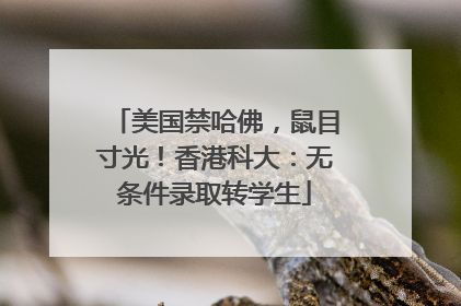 美国禁哈佛，鼠目寸光！香港科大：无条件录取转学生