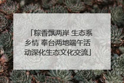 粽香飘两岸 生态系乡情 奉台两地端午活动深化生态文化交流