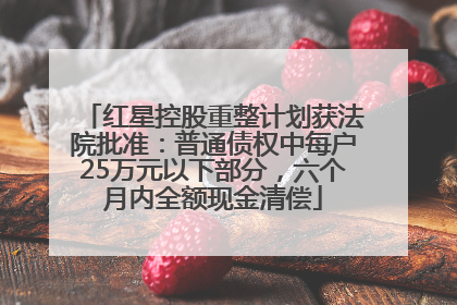 红星控股重整计划获法院批准：普通债权中每户25万元以下部分，六个月内全额现金清偿
