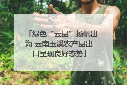 绿色“云品”扬帆出海 云南玉溪农产品出口呈现良好态势