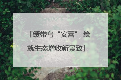 绶带鸟“安营” 绘就生态增收新景致