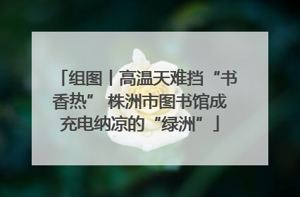 组图丨高温天难挡“书香热” 株洲市图书馆成充电纳凉的“绿洲”