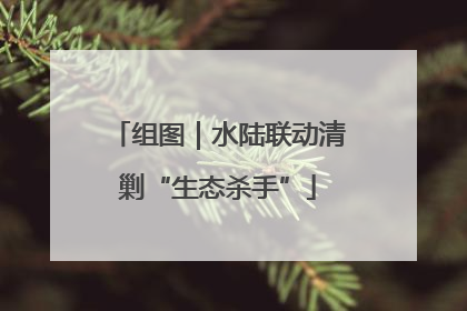组图｜水陆联动清剿“生态杀手”