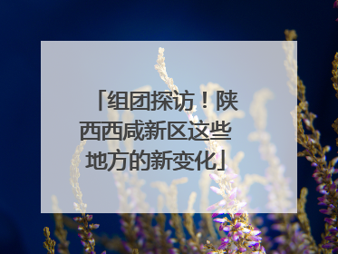 组团探访！陕西西咸新区这些地方的新变化