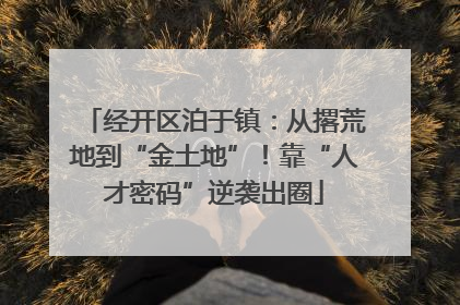 经开区泊于镇：从撂荒地到“金土地”！靠“人才密码”逆袭出圈