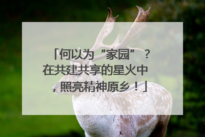 何以为“家园”？在共建共享的星火中，照亮精神原乡！
