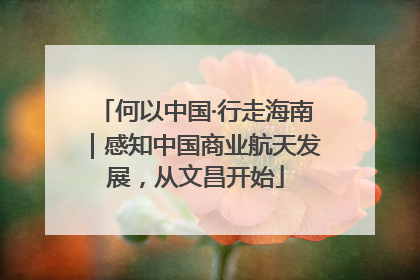 何以中国·行走海南｜感知中国商业航天发展，从文昌开始