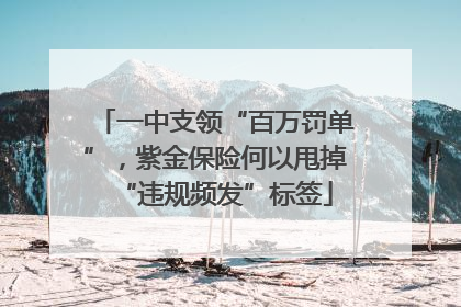 一中支领“百万罚单”，紫金保险何以甩掉“违规频发”标签