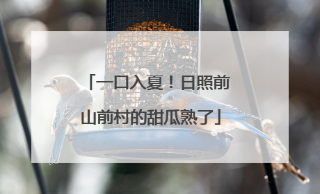 一口入夏！日照前山前村的甜瓜熟了