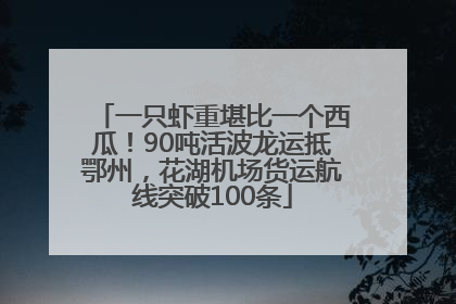 一只虾重堪比一个西瓜！90吨活波龙运抵鄂州，花湖机场货运航线突破100条