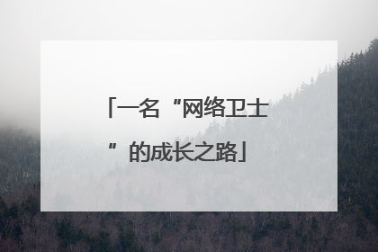 一名“网络卫士”的成长之路