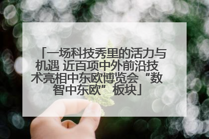 一场科技秀里的活力与机遇 近百项中外前沿技术亮相中东欧博览会“数智中东欧”板块