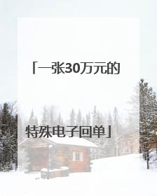 一张30万元的特殊电子回单