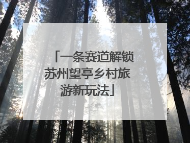 一条赛道解锁苏州望亭乡村旅游新玩法