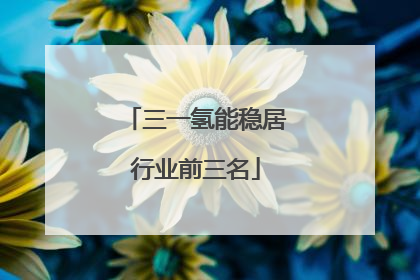 三一氢能稳居行业前三名