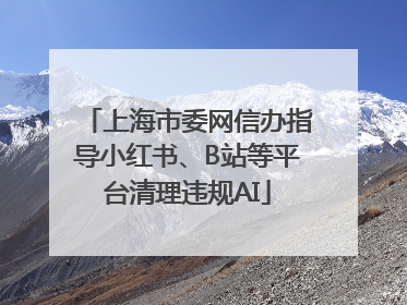上海市委网信办指导小红书、B站等平台清理违规AI
